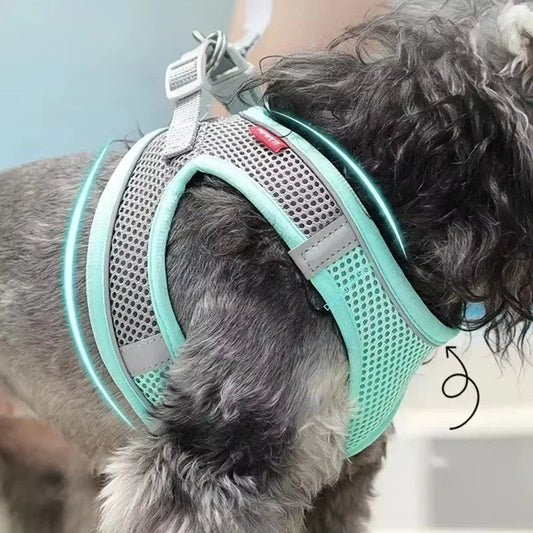 Reflective Pet Harness & Lead – Adjustable Mesh Vest for Dogs, Cats, Puppies & Kittens