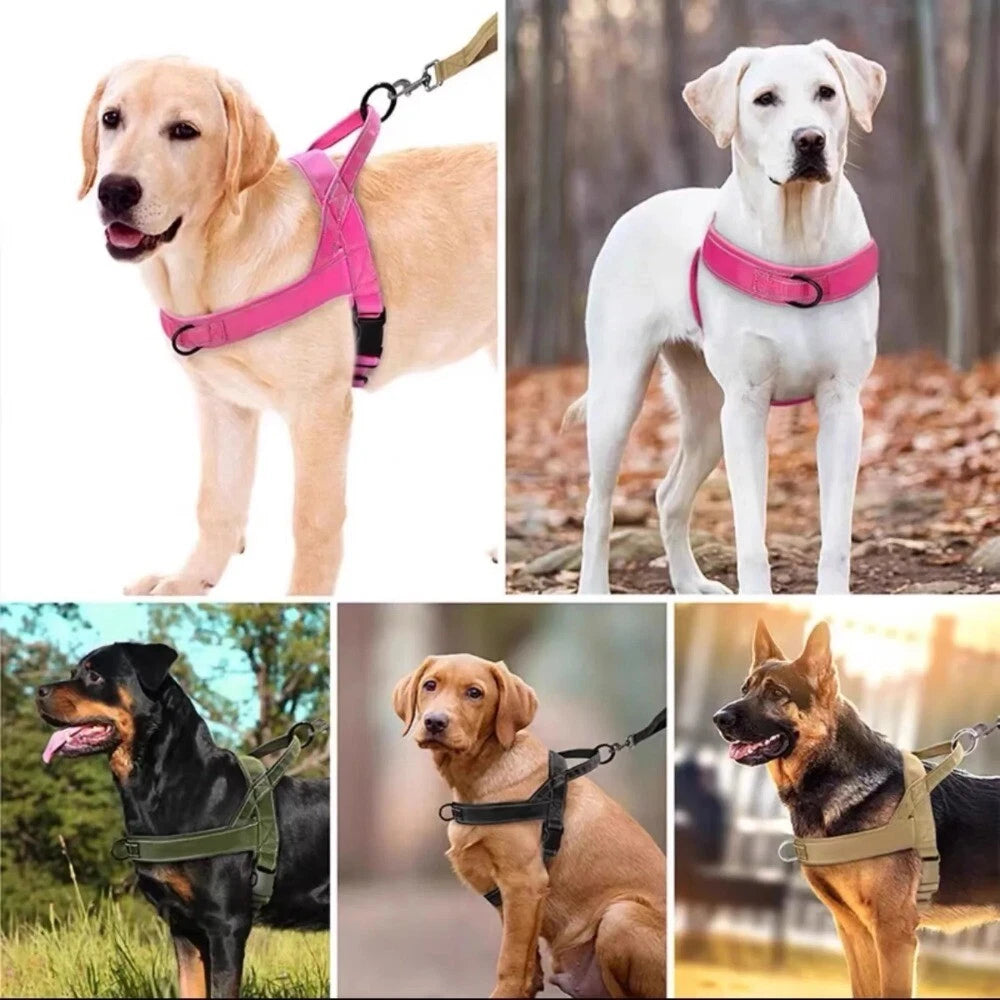 Nylon Dog Harness – Adjustable No-Pull Walking Vest for Dogs