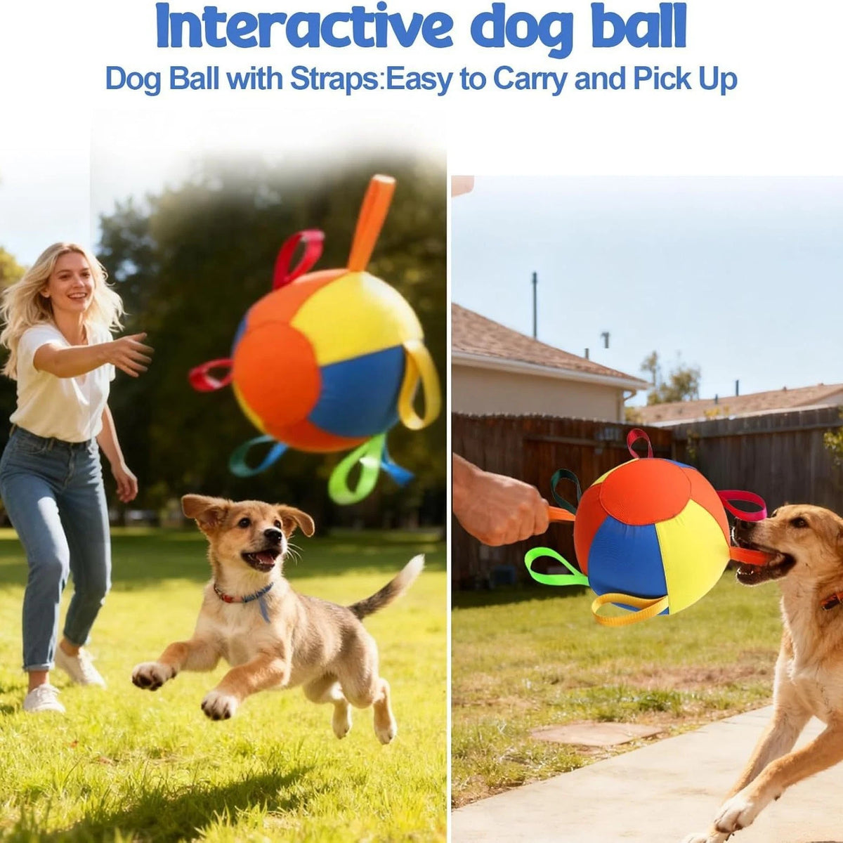 Large Dog Herding Ball — Interactive Inflatable Toy for Active Play