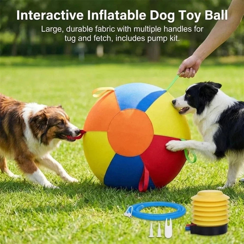 Large Dog Herding Ball — Interactive Inflatable Toy for Active Play