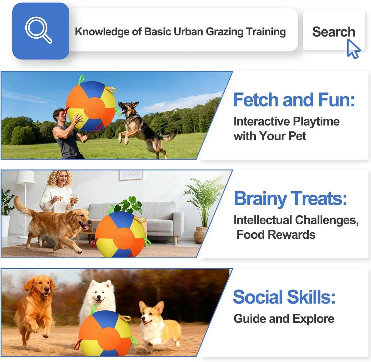 Large Dog Herding Ball — Interactive Inflatable Toy for Active Play