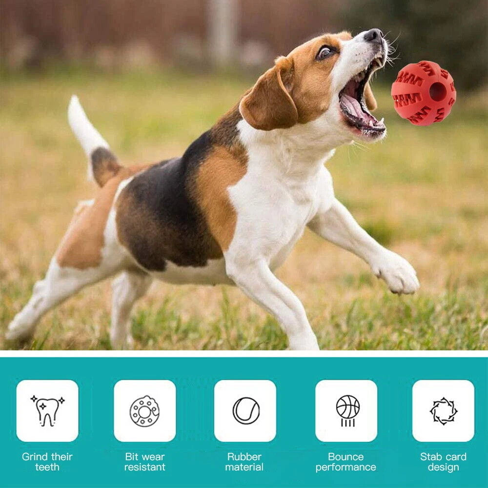 Interactive Dog Treat Ball — Puzzle, Chew & Teething Toy for Puppies & Dogs