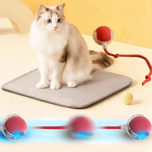 Interactive Rolling Ball Toy — Rechargeable Chase & Play Toy for Dogs & Cats