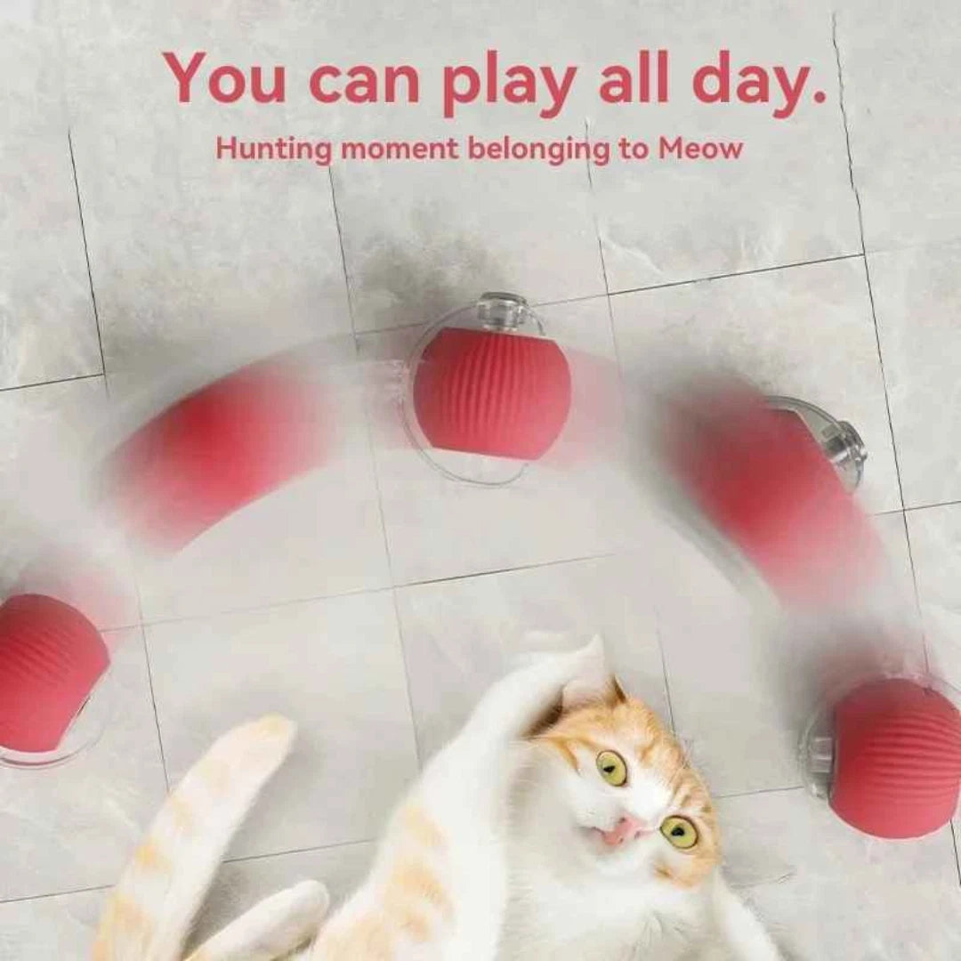 Interactive Rolling Ball Toy — Rechargeable Chase & Play Toy for Dogs & Cats