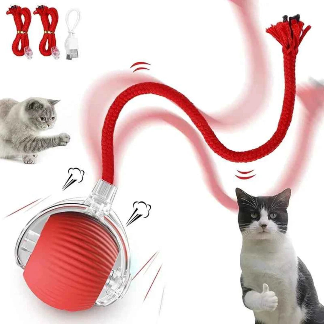 Interactive Rolling Ball Toy — Rechargeable Chase & Play Toy for Dogs & Cats