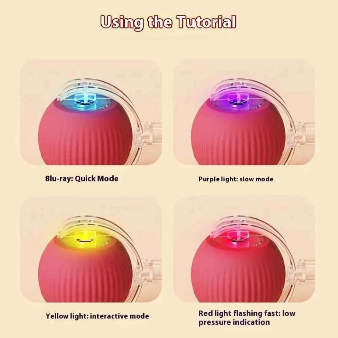 Interactive Rolling Ball Toy — Rechargeable Chase & Play Toy for Dogs & Cats