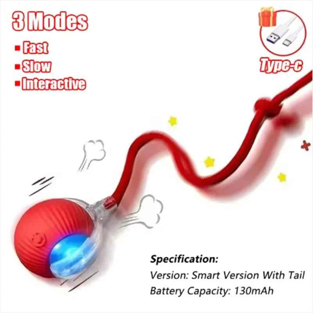 Interactive Rolling Ball Toy — Rechargeable Chase & Play Toy for Dogs & Cats
