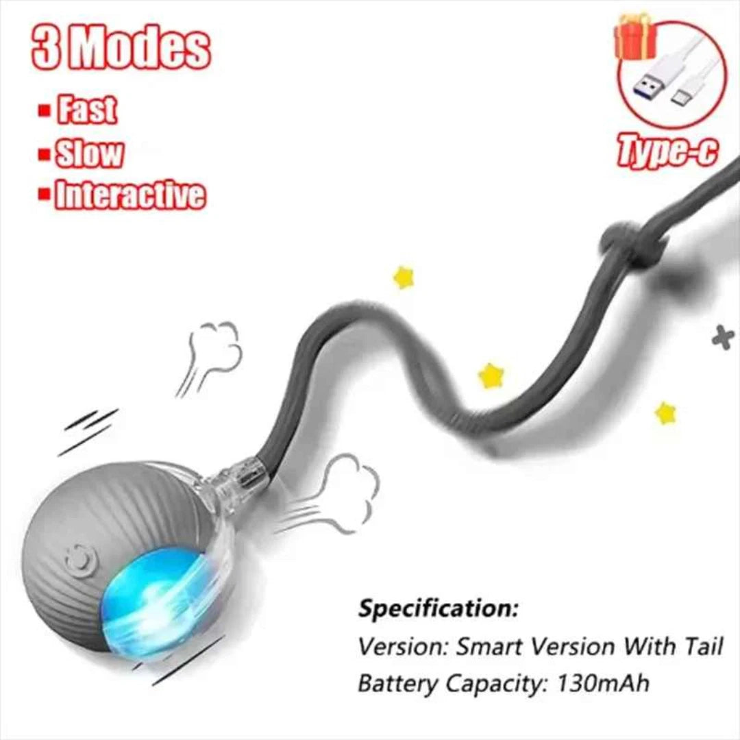Interactive Rolling Ball Toy — Rechargeable Chase & Play Toy for Dogs & Cats