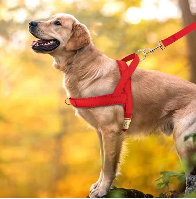 Personalised Leather Dog Harness – Adjustable No-Pull Harness with Custom Engraving
