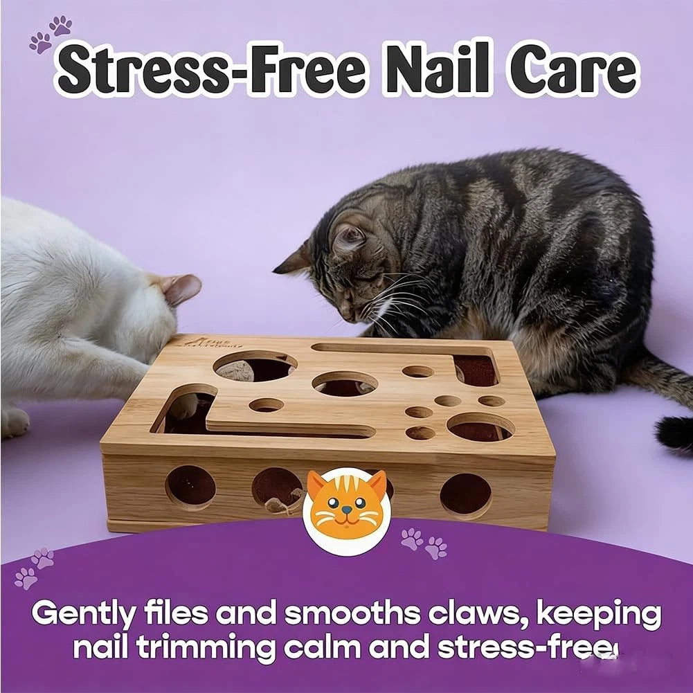 Scratch Puzzle Enrichment Box — Natural Nail Filing & Stress-Free Claw Care