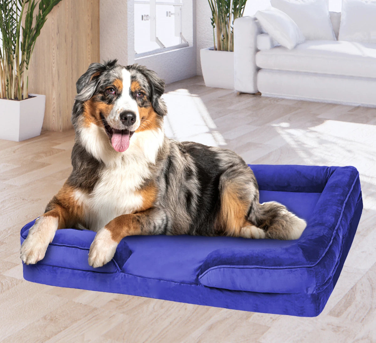 Luxury Orthopaedic Dog Bed — Memory Foam Mattress with Removable Cover