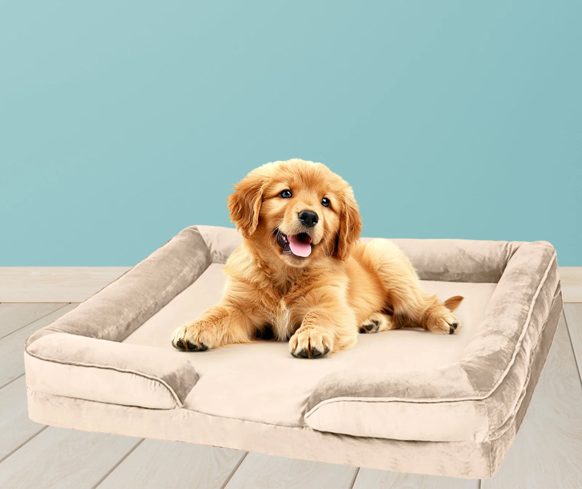 Luxury Orthopaedic Dog Bed — Memory Foam Mattress with Removable Cover