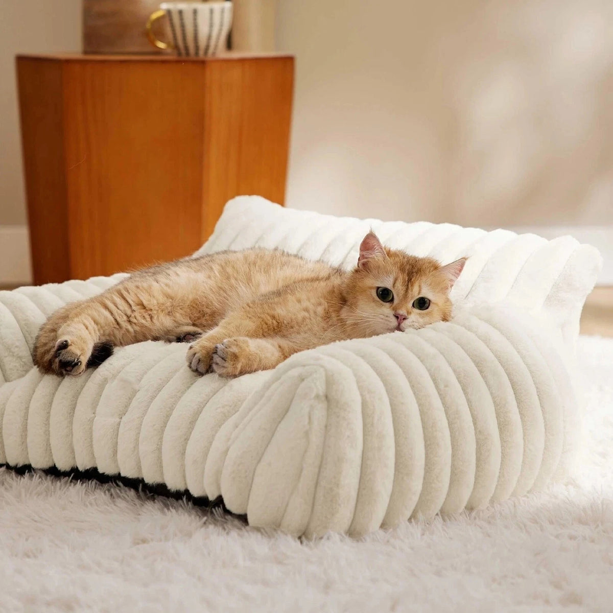 Cosy Raised Dog & Cat Bed — Elevated Pet Sofa Couch