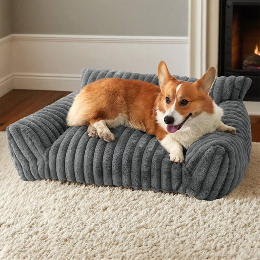 Cosy Raised Dog & Cat Bed — Elevated Pet Sofa Couch