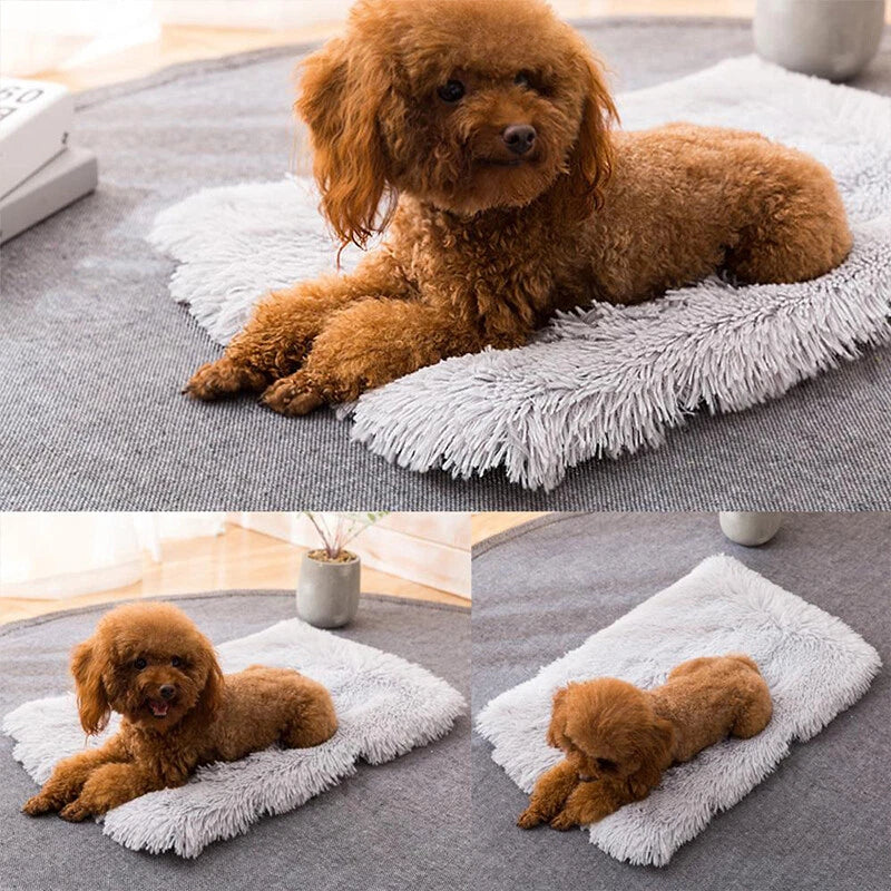 Cosy Plush Pet Blanket — Soft Washable Comfort Mat for Dogs & Cats
