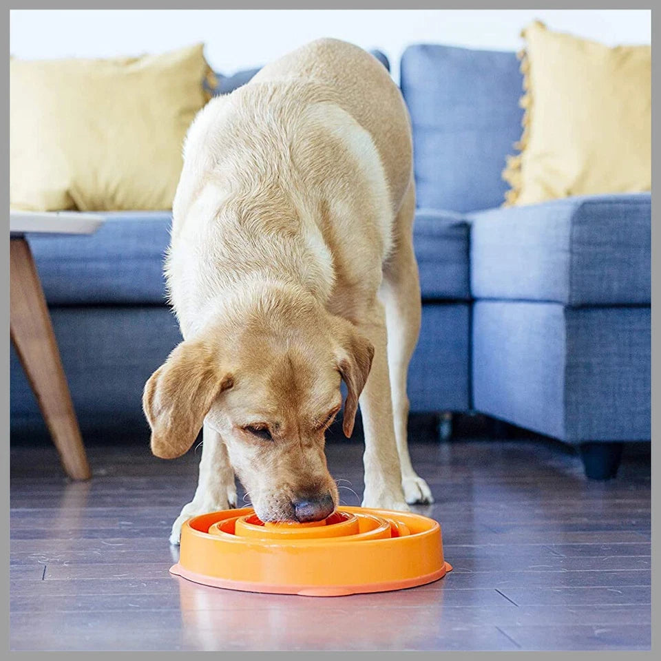 Slow Feeder Dog Bowl – Anti-Slip Interactive Food Bowl for Dogs & Puppies