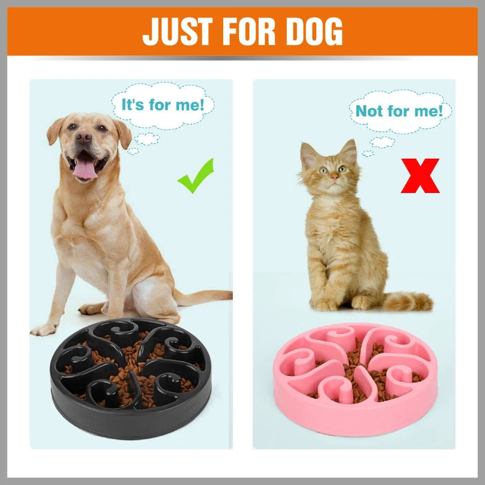 Slow Feeder Dog Bowl – Anti-Slip Interactive Food Bowl for Dogs & Puppies