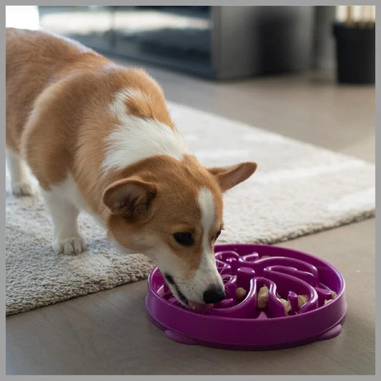 Slow Feeder Dog Bowl – Anti-Slip Interactive Food Bowl for Dogs & Puppies