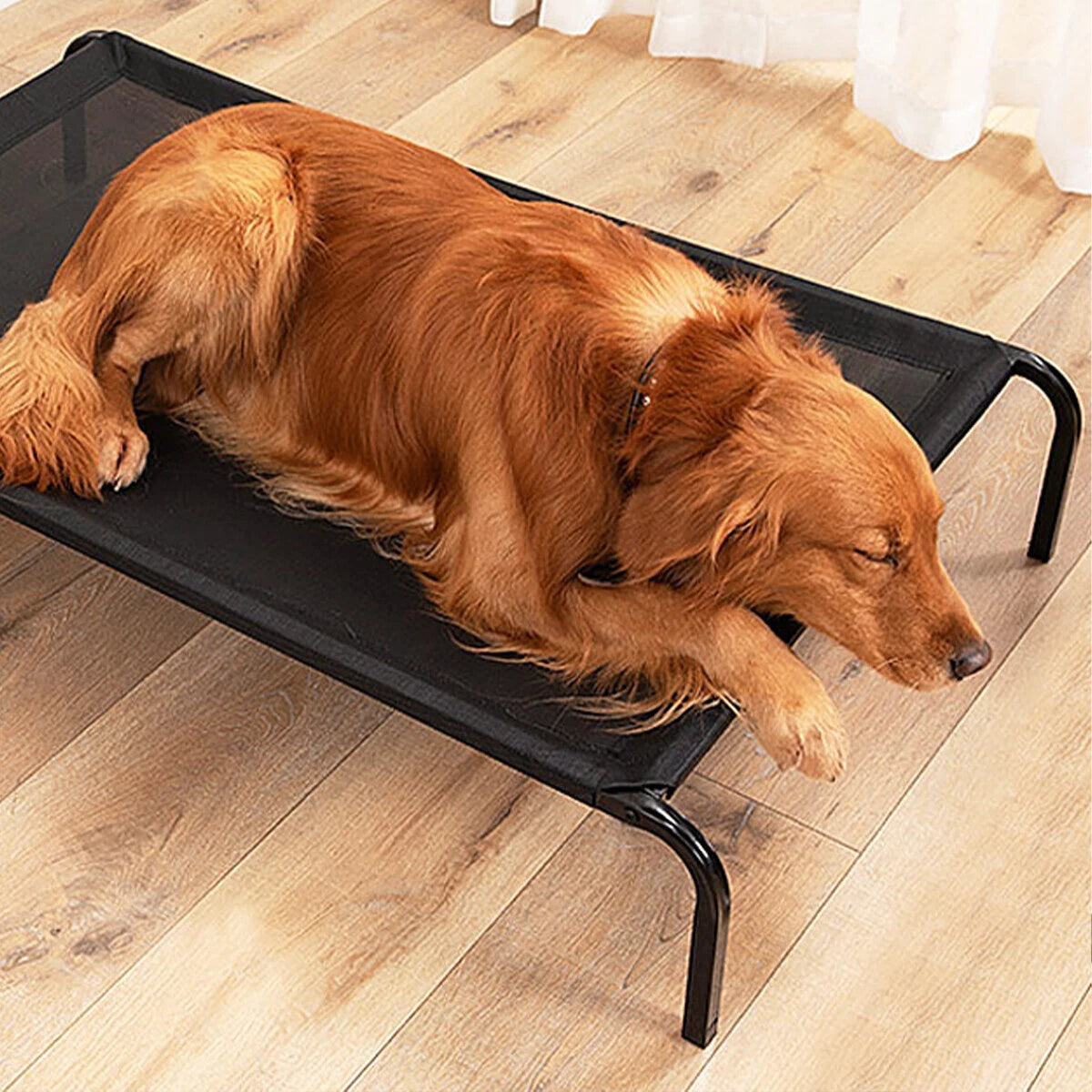 Elevated Raised Dog Bed — Heavy-Duty Trampoline Bed for Indoor & Outdoor Comfort