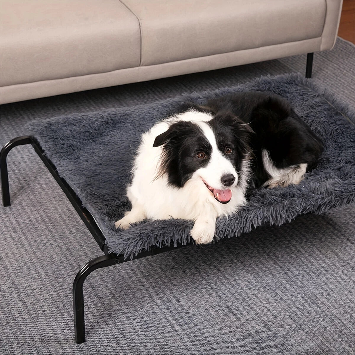 Elevated Raised Dog Bed — Heavy-Duty Trampoline Bed for Indoor & Outdoor Comfort