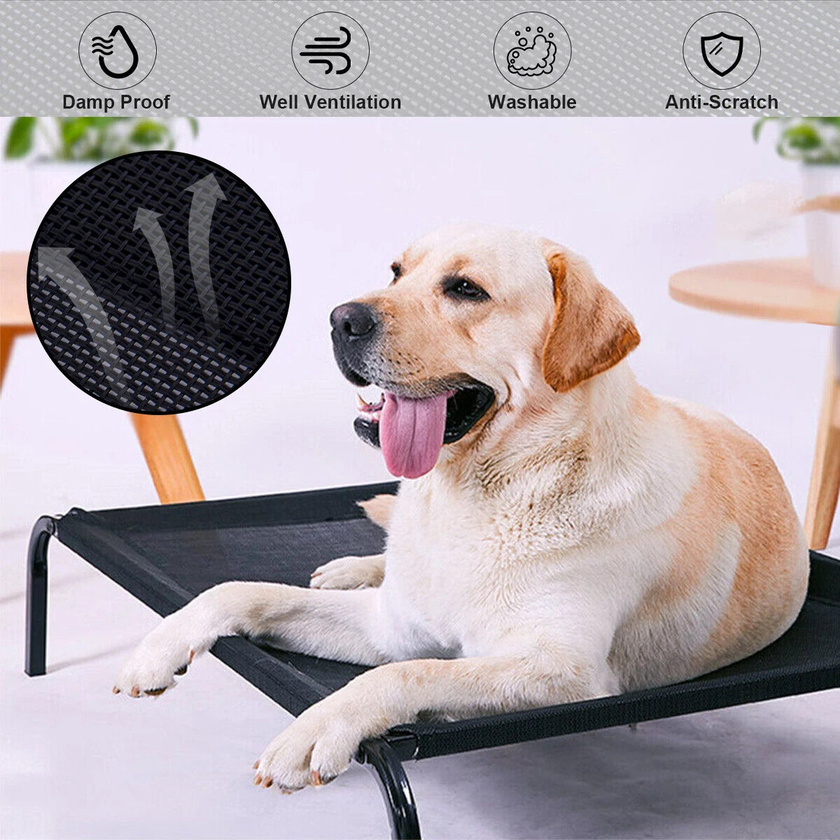 Elevated Raised Dog Bed — Heavy-Duty Trampoline Bed for Indoor & Outdoor Comfort