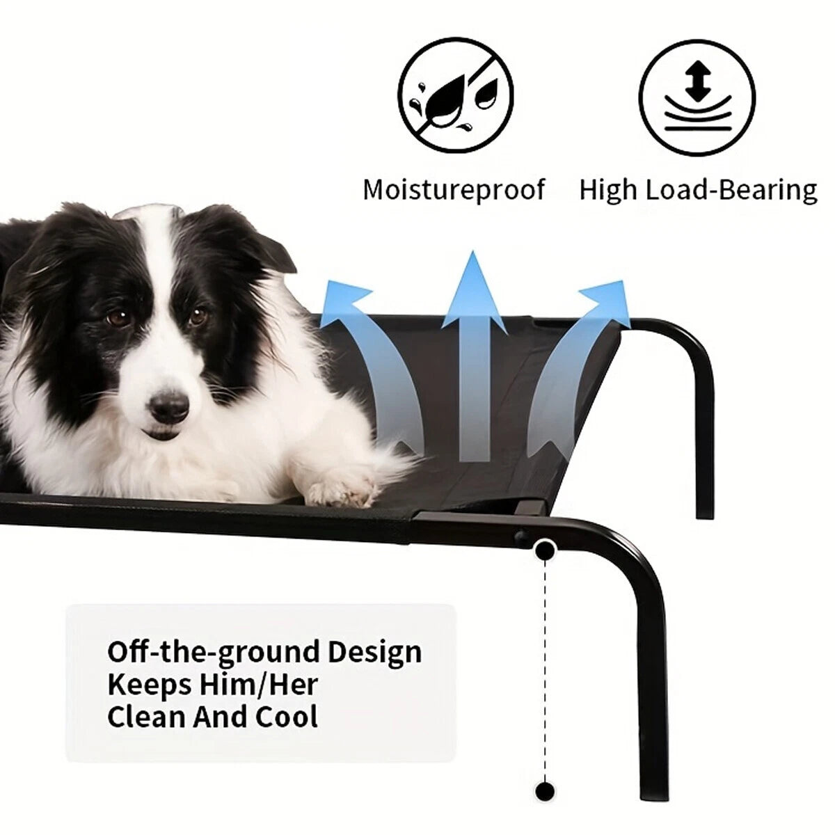 Elevated Raised Dog Bed — Heavy-Duty Trampoline Bed for Indoor & Outdoor Comfort