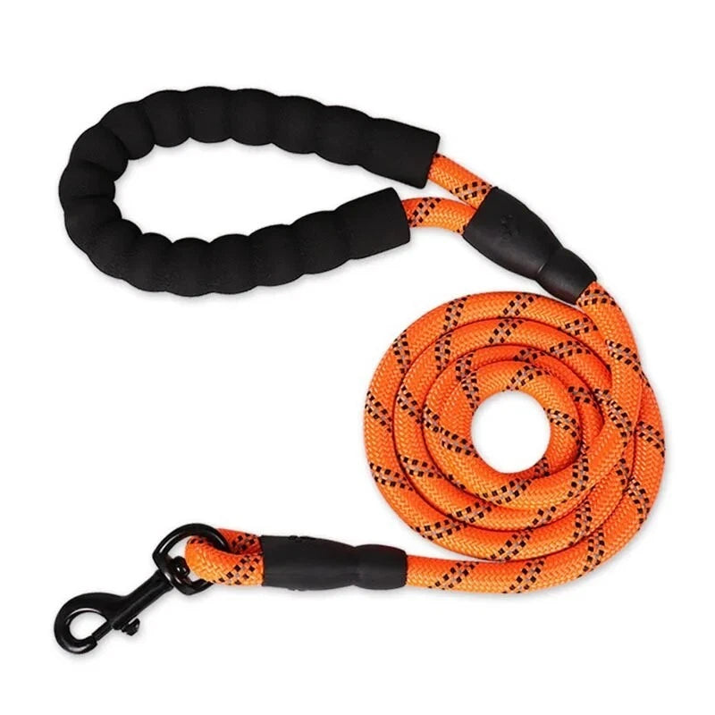 Reflective Dog Lead – Strong Nylon Walking & Training Leash with Padded Handle