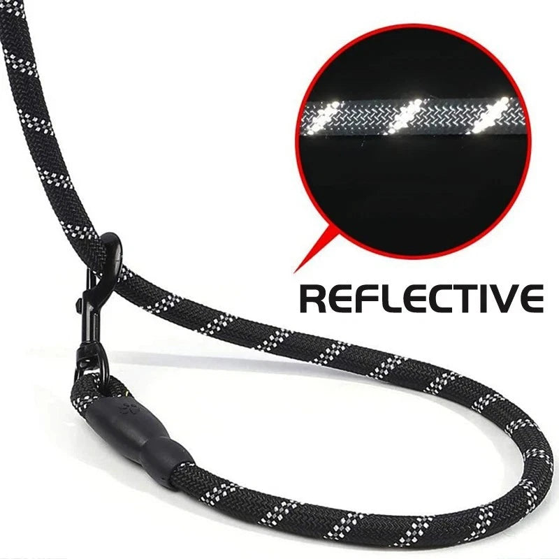 Reflective Dog Lead – Strong Nylon Walking & Training Leash with Padded Handle
