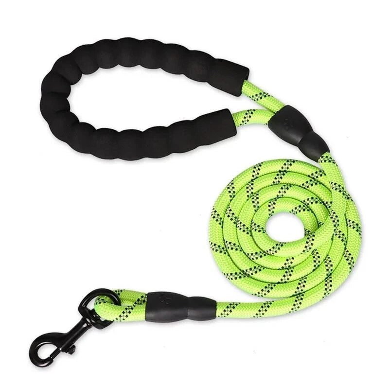 Reflective Dog Lead – Strong Nylon Walking & Training Leash with Padded Handle