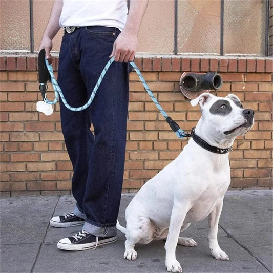 Reflective Dog Lead – Strong Nylon Walking & Training Leash with Padded Handle