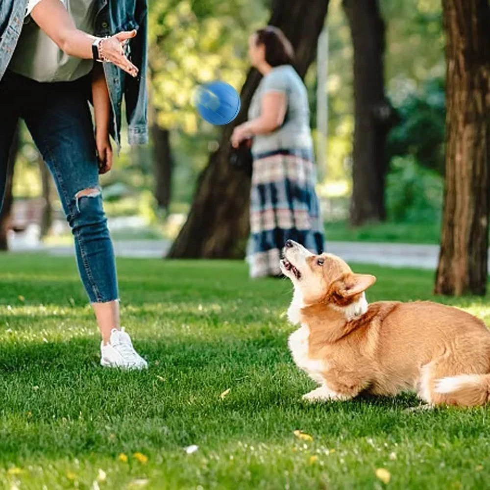 Smart Interactive Pet Ball — Automatic Moving & Bouncing Toy for Dogs & Cats
